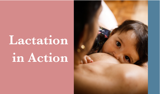 Lactation in Action - Brisbane